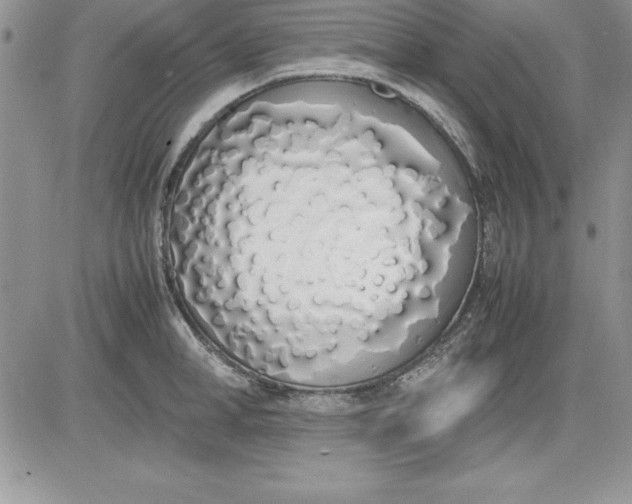 X0000081270998200701251558