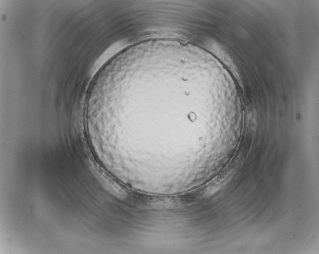 X0000081271002200701251558