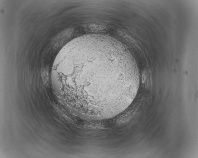 X0000081271011200701251557