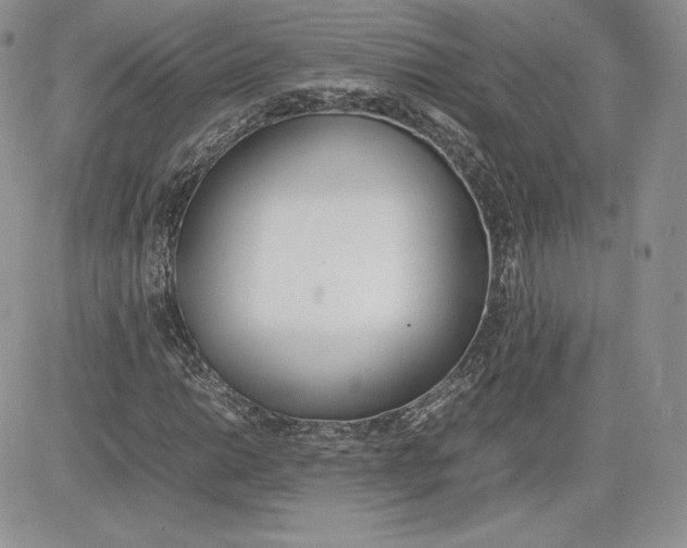 X0000081271014200701251557