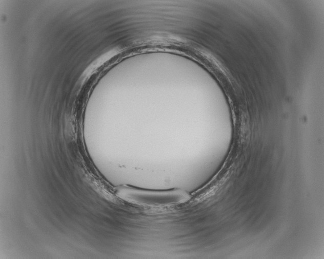 X0000081271018200701251557
