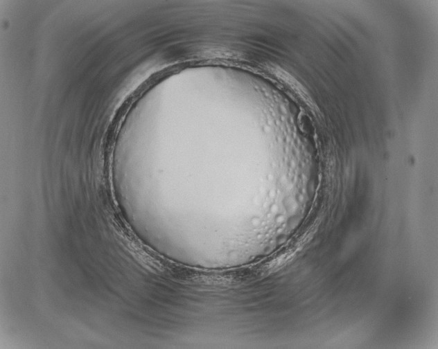 X0000081271023200701251557
