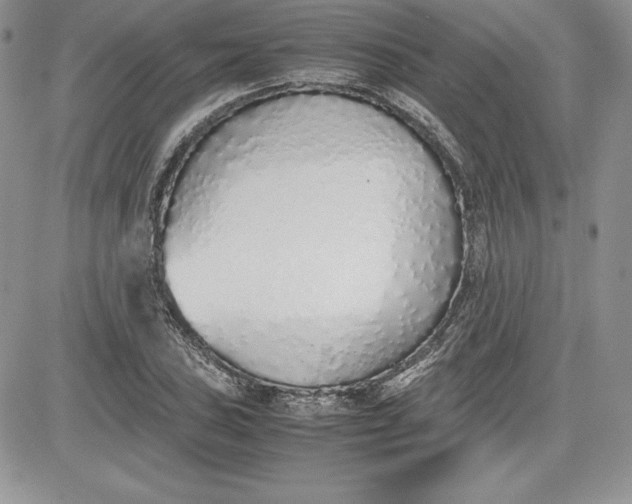 X0000081271027200701251557