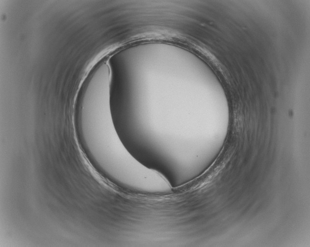 X0000081271034200701251557