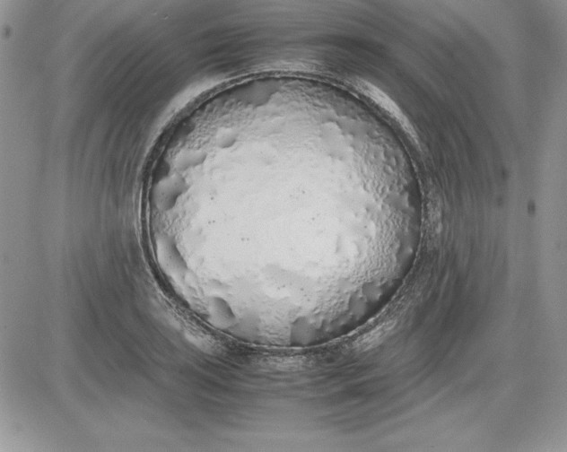 X0000081271035200701251557