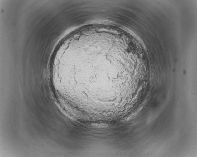 X0000081271037200701251557