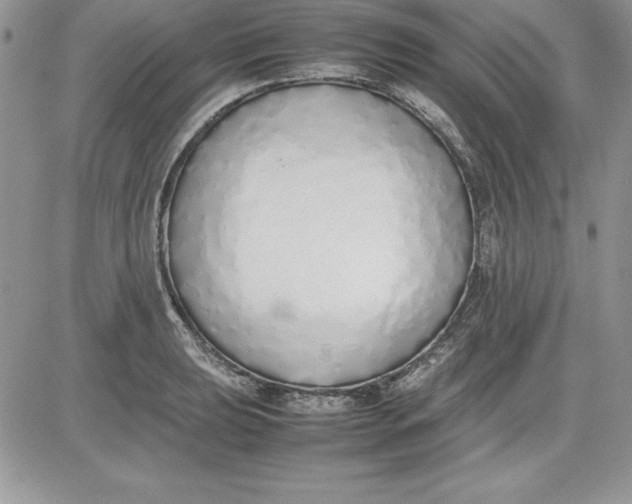 X0000081271039200701251558