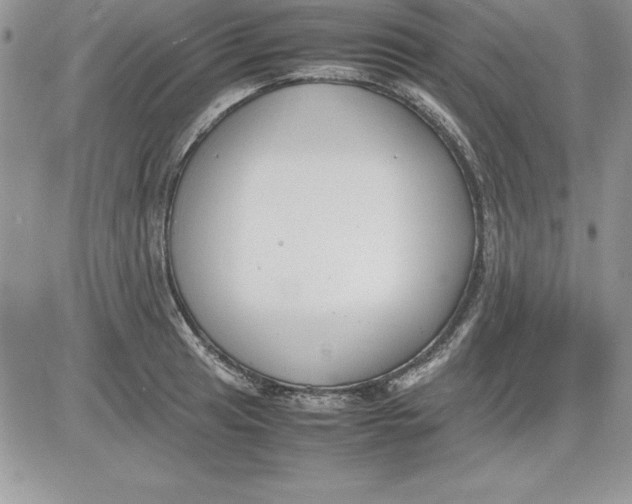 X0000081271041200701251558