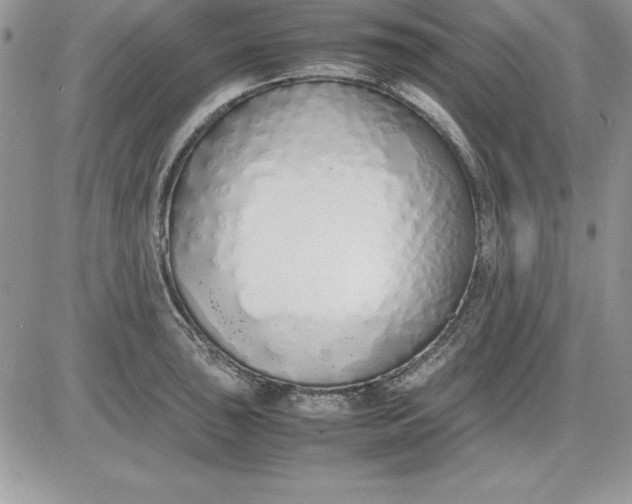 X0000081271043200701251558