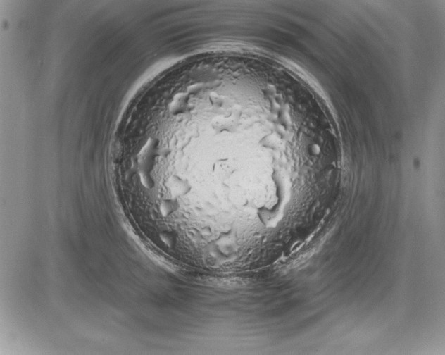X0000081271045200701251558