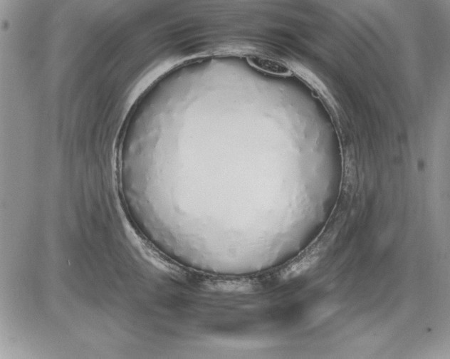 X0000081271047200701251558