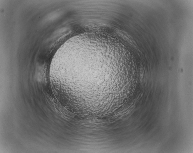 X0000081271060200701251557