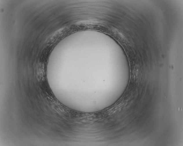 X0000081271062200701251557