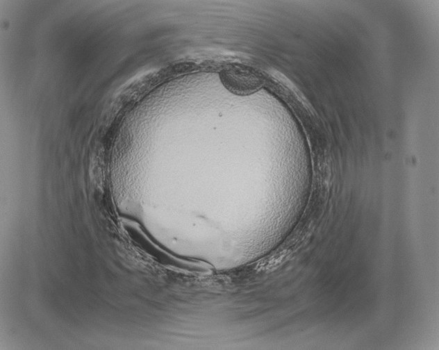 X0000081271063200701251557