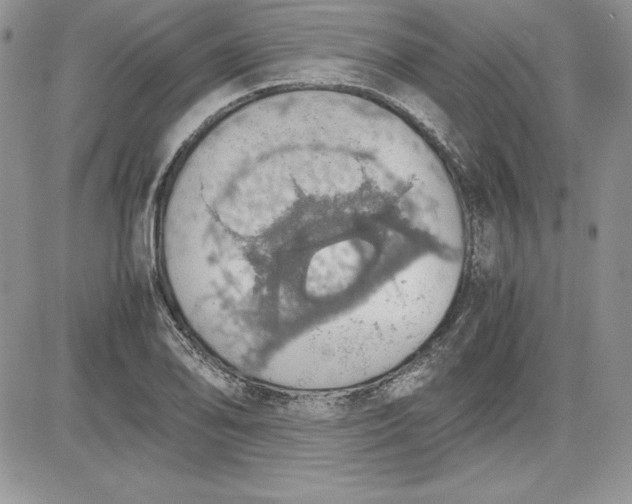X0000081271078200701251557