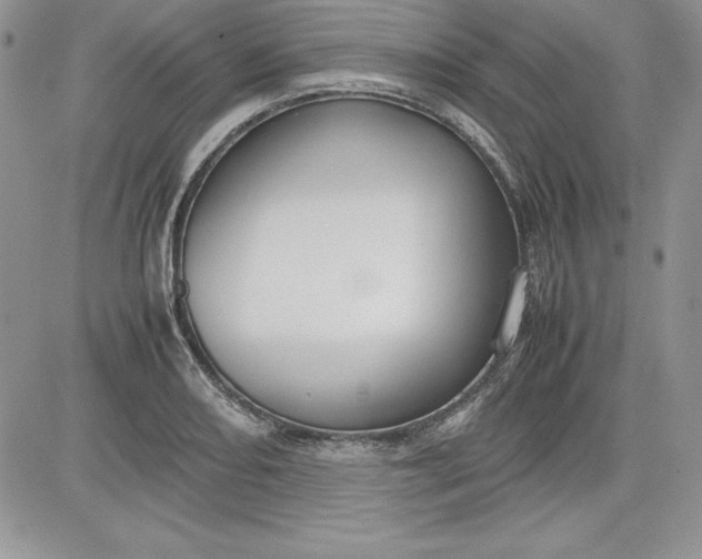 X0000081271082200701251557