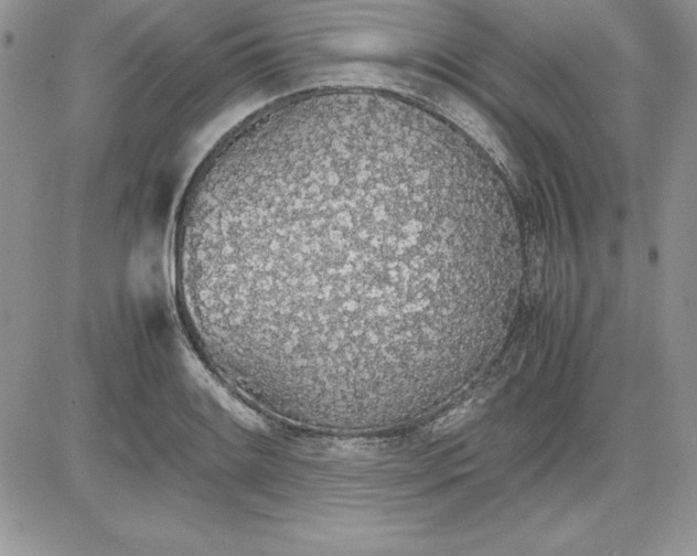 X0000081271084200701251557