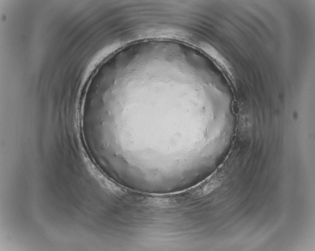 X0000081271088200701251557
