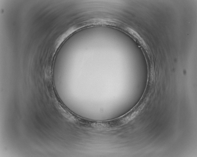 X0000081271089200701251557