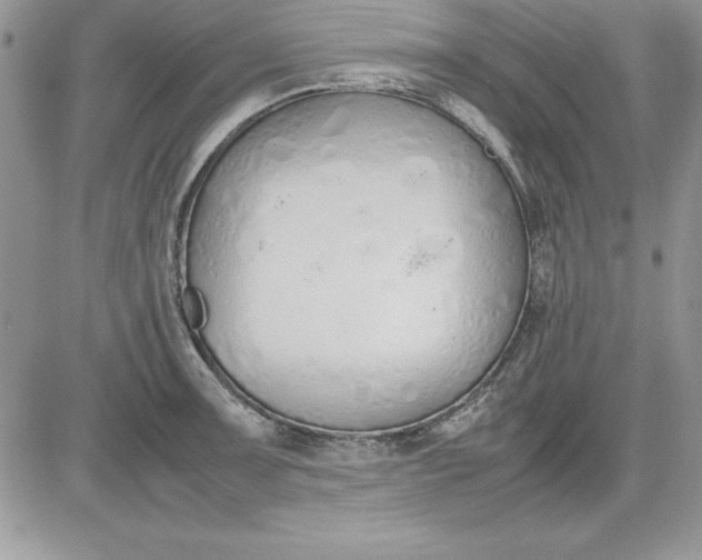 X0000081271091200701251556