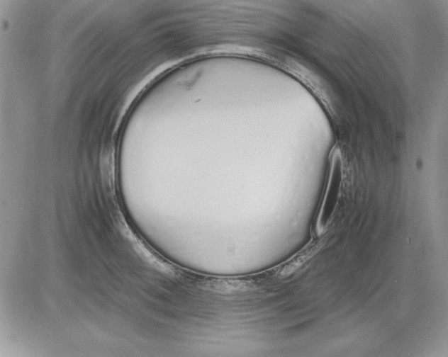 X0000081271092200701251556