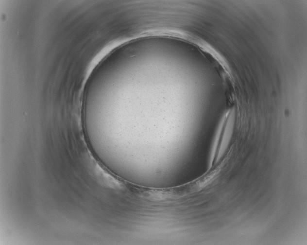 X0000081271102200701251556