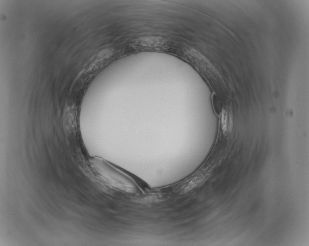 X0000081271107200701251556