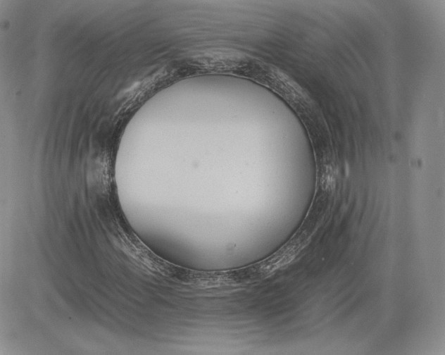 X0000081271108200701251556