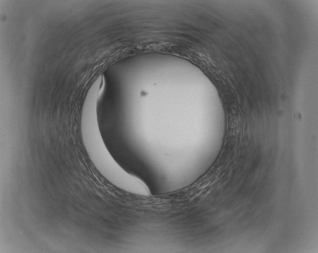 X0000081271109200701251556