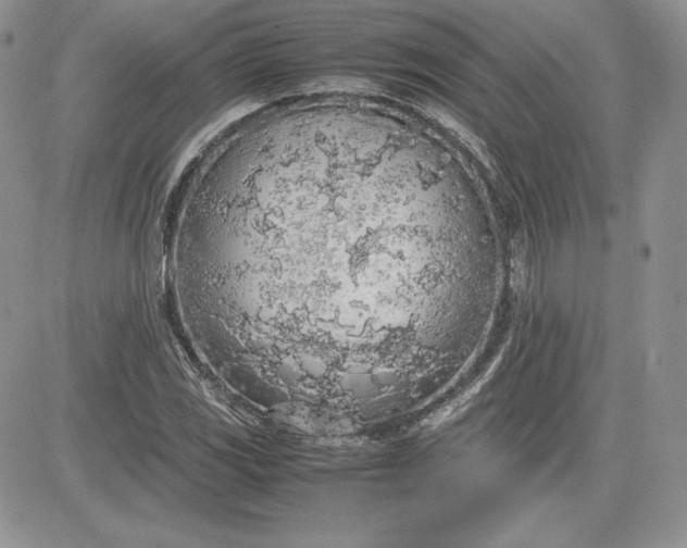 X0000081271117200701251556