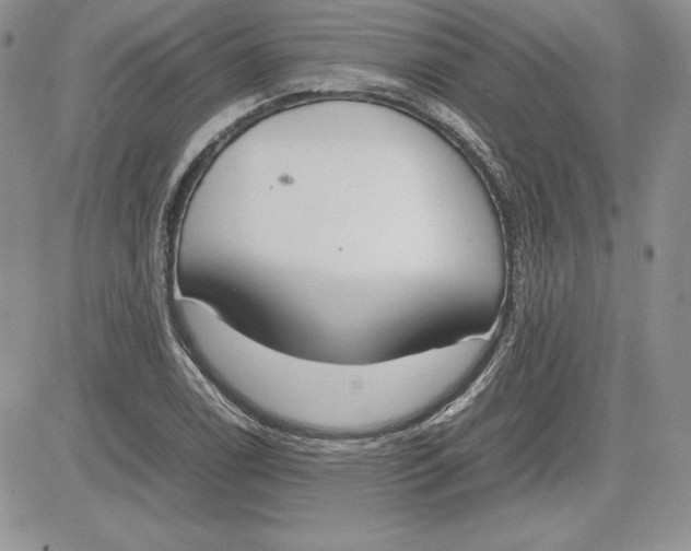 X0000081271122200701251556