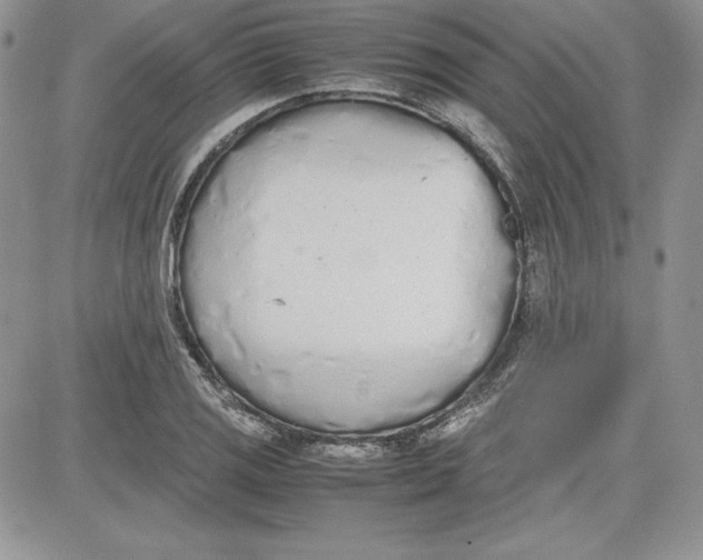 X0000081271125200701251556