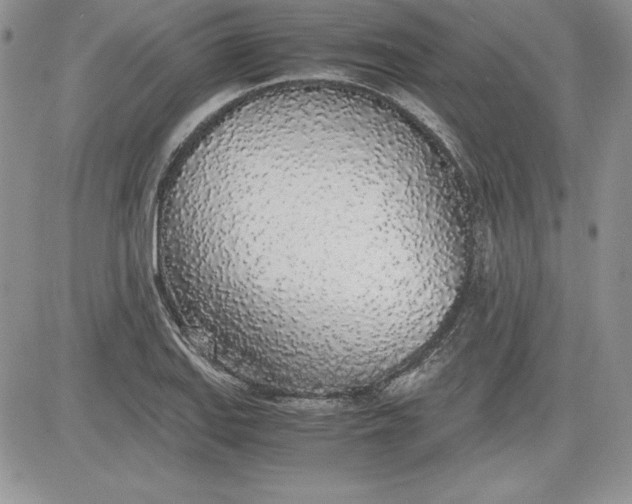 X0000081271127200701251556