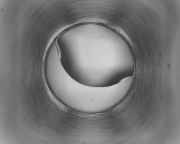 X0000081271132200701251556