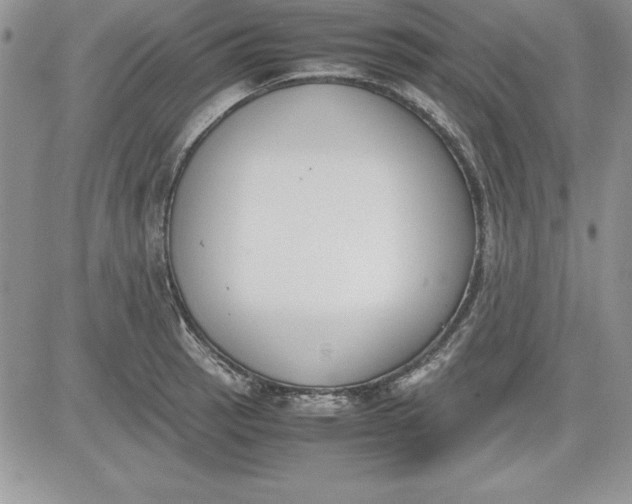 X0000081271137200701251556