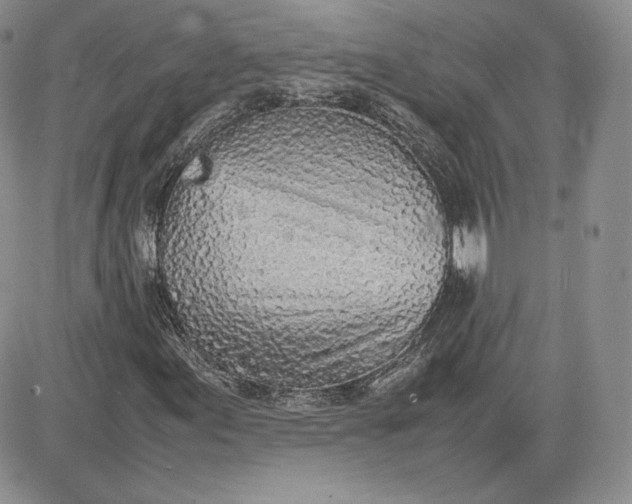 X0000081271155200701251555