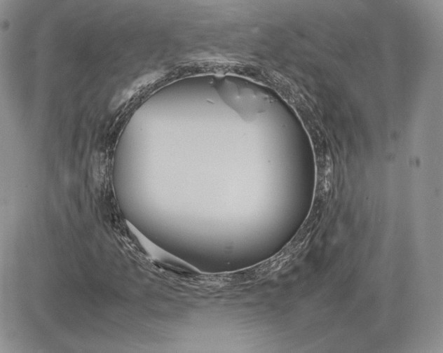 X0000081271157200701251555