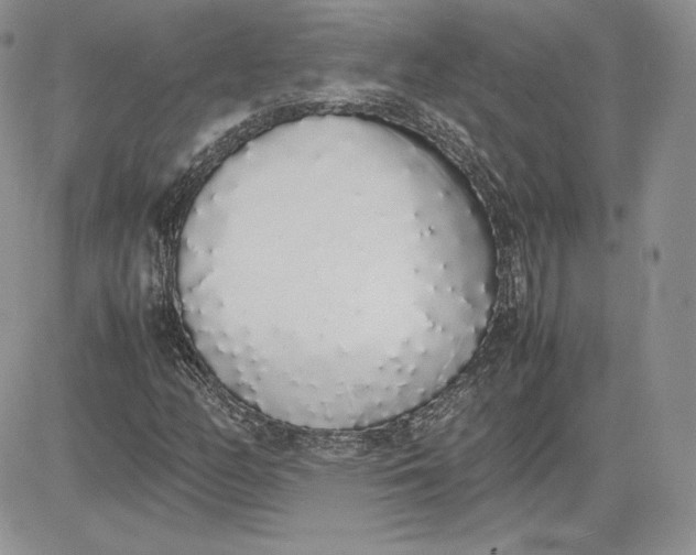 X0000081271158200701251555