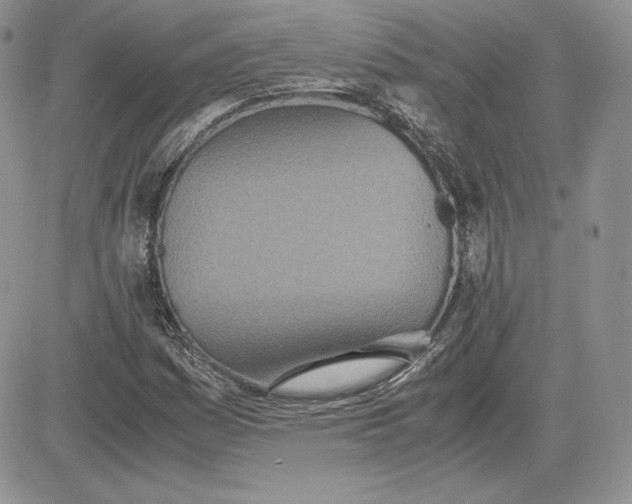 X0000081271161200701251555