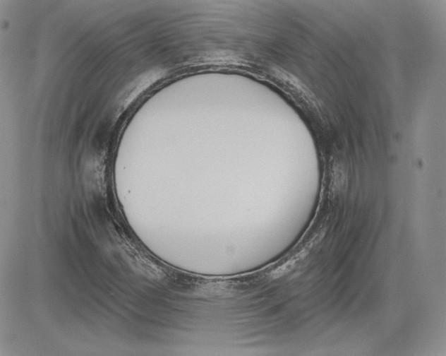 X0000081271162200701251555