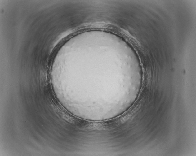 X0000081271166200701251555