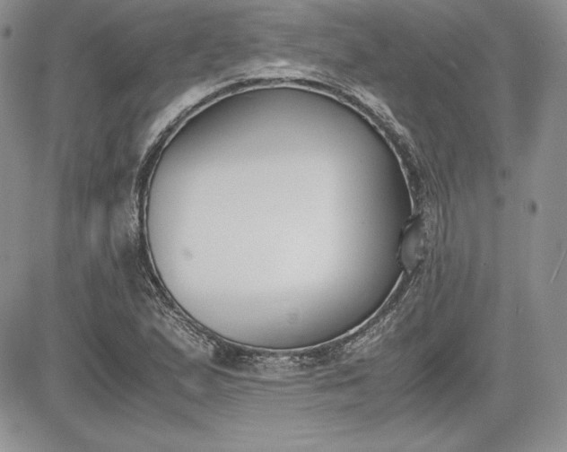 X0000081271167200701251555