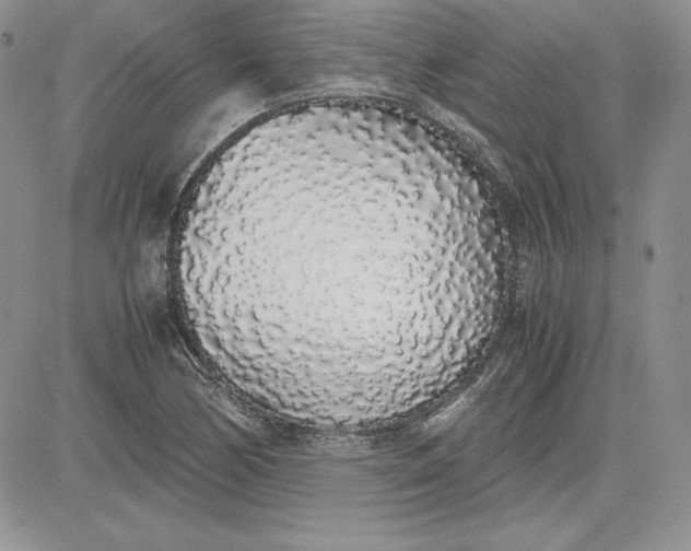 X0000081271170200701251555
