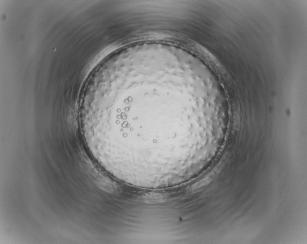 X0000081271178200701251555