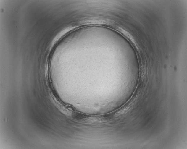 X0000081271179200701251555