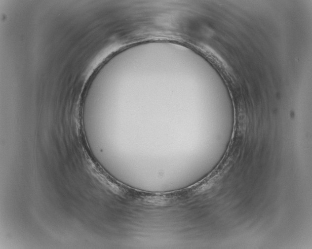X0000081271182200701251555