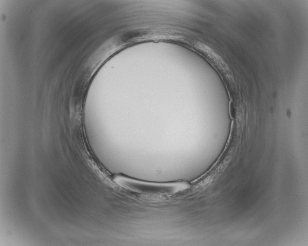 X0000081271185200701251555