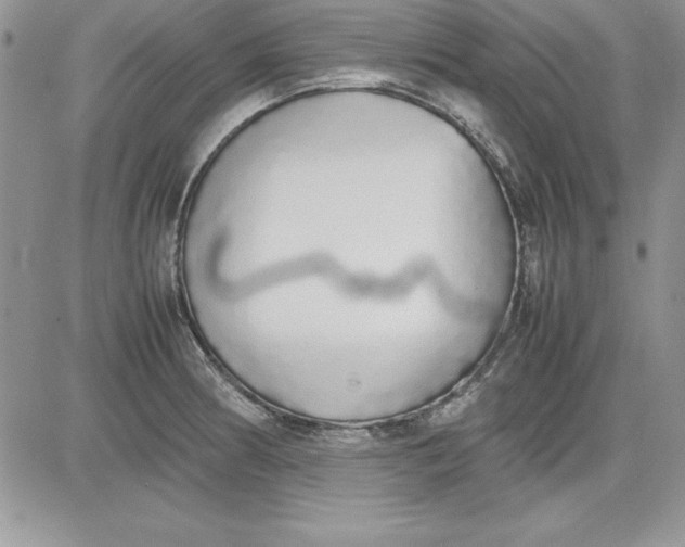 X0000081271186200701251555