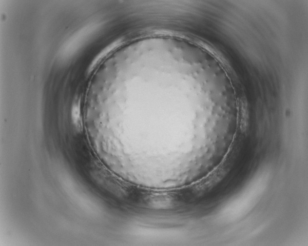 X0000081271198200701251555