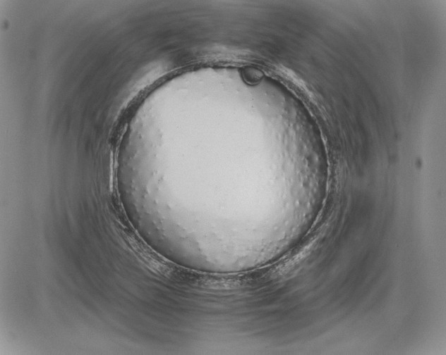 X0000081271219200701251554